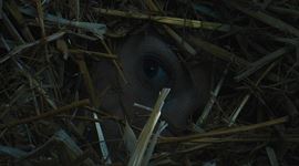 Schovan�, neschovan�