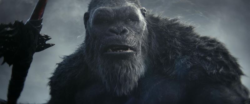 Godzilla a Kong: Nov ra 