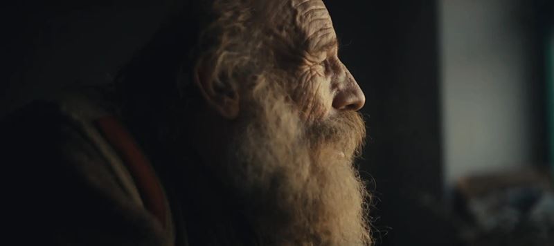 Radeji zelet v divoine 