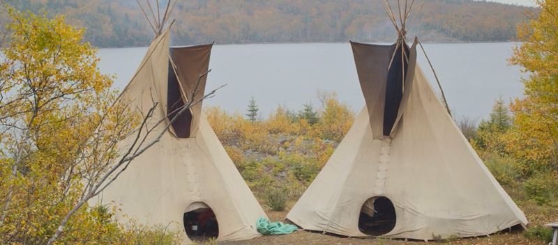 AMOOSED: losia odysea 