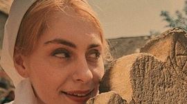 Kronika vench snlkov